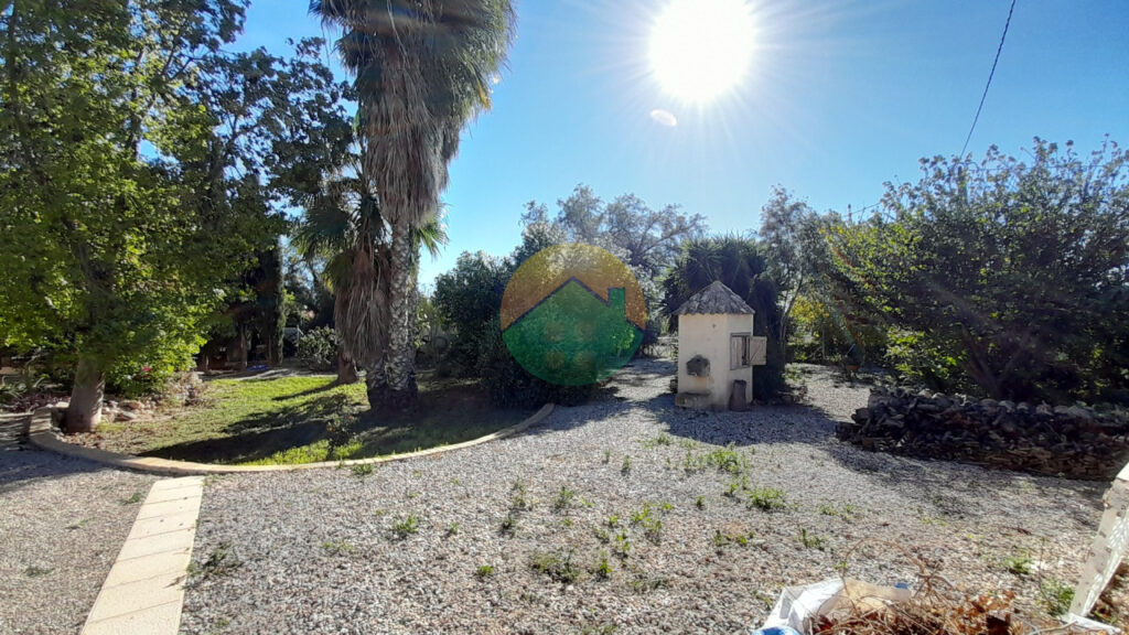 alha15-69282fe13413e