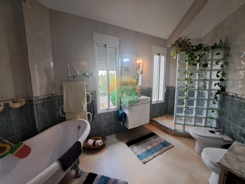 alha15-69282fe7788a0