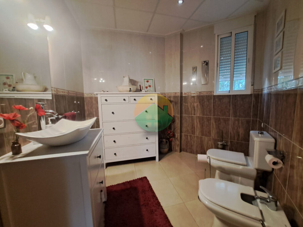 alha15-69282fe862e8b