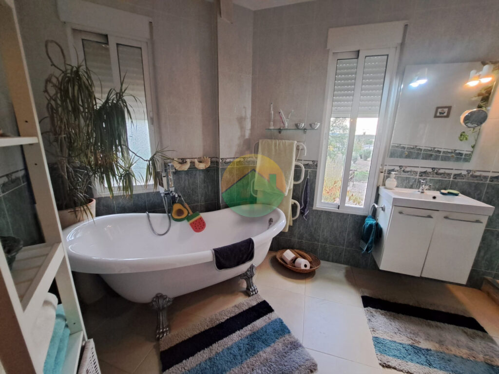 alha15-69282fea22eec