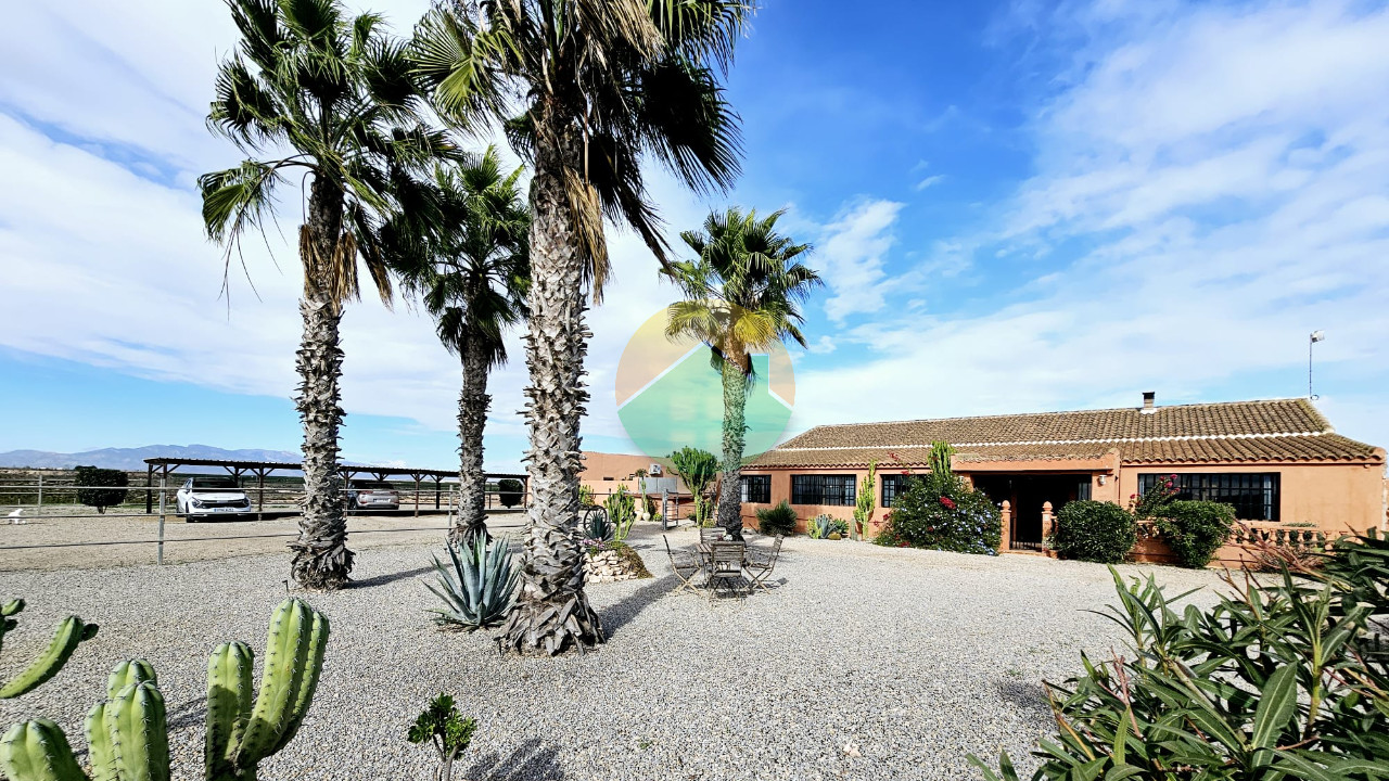 Investir en Espagne - lcan08 691d9927f16e6