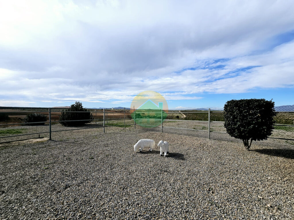 lcan08-691d9938b622a