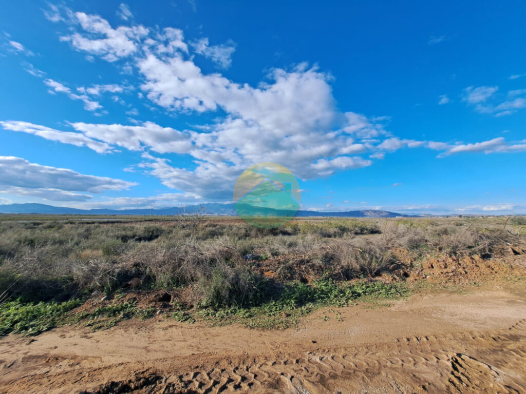 alha16-6953f4a110d5b