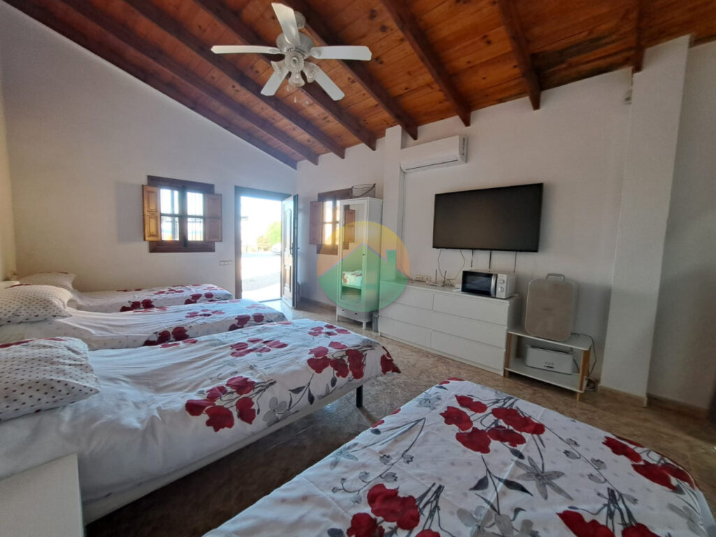 alha16-6953f4a5dd48b