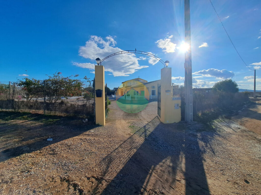 alha16-6953f4a77a376