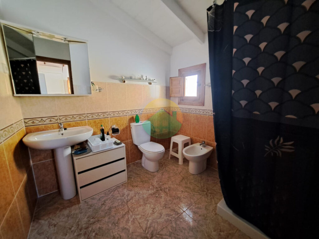 alha16-6953f4ada1e07