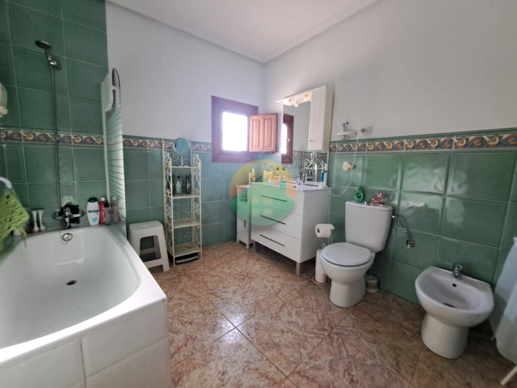 alha16-6953f4af63975