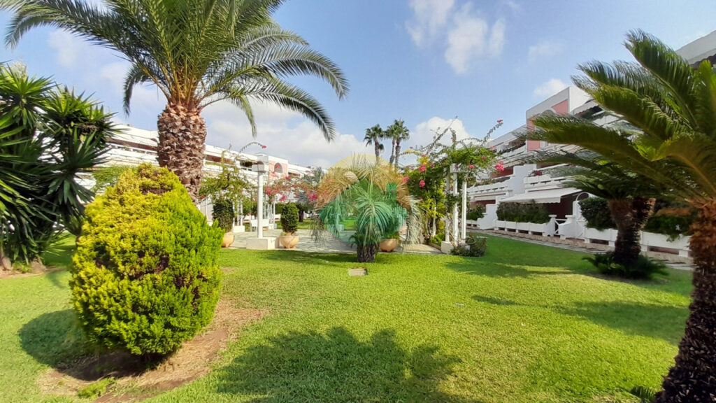 pdm192-692eeadfa7fab