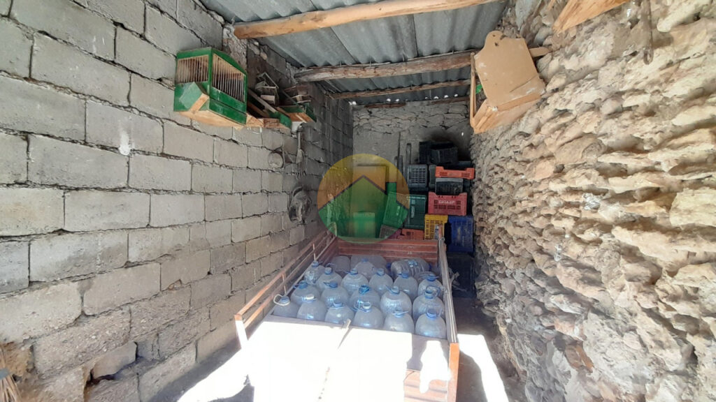 cara05-6995b963ce756