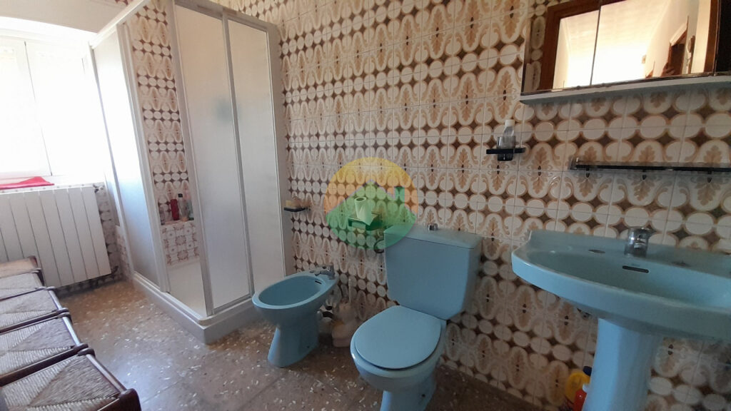 cara05-6995b9655a6c7