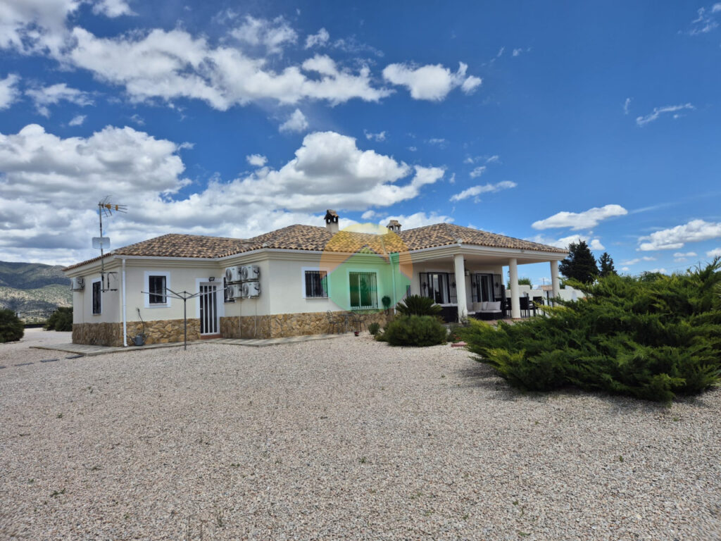 cara06-6a0c337fc6811