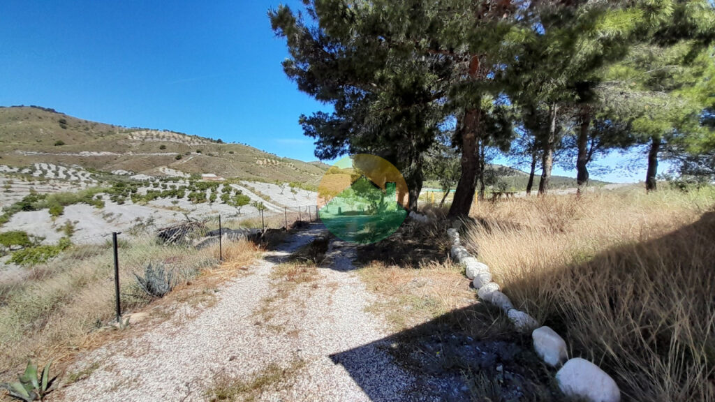 lorca05-6a465d1674ea0